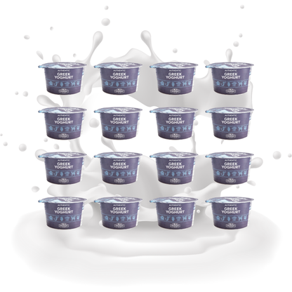 Zestaw 6 Jogurtów Greckich - 150g